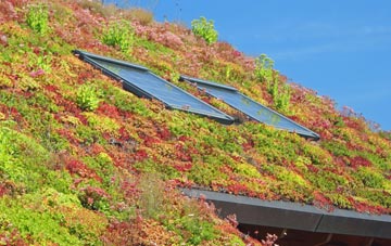 Tilney St Lawrence living roof systems